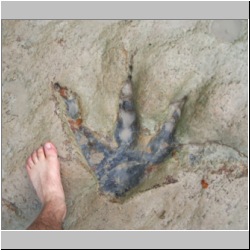 100_1560 (2009-28-07)m.JPG